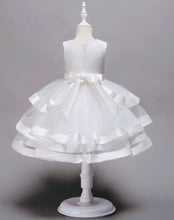 Load image into Gallery viewer, Tulle Ruffle w/Rose Bodice Dress