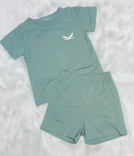 🎈SALE 🎈Boys 2 pc Short Set