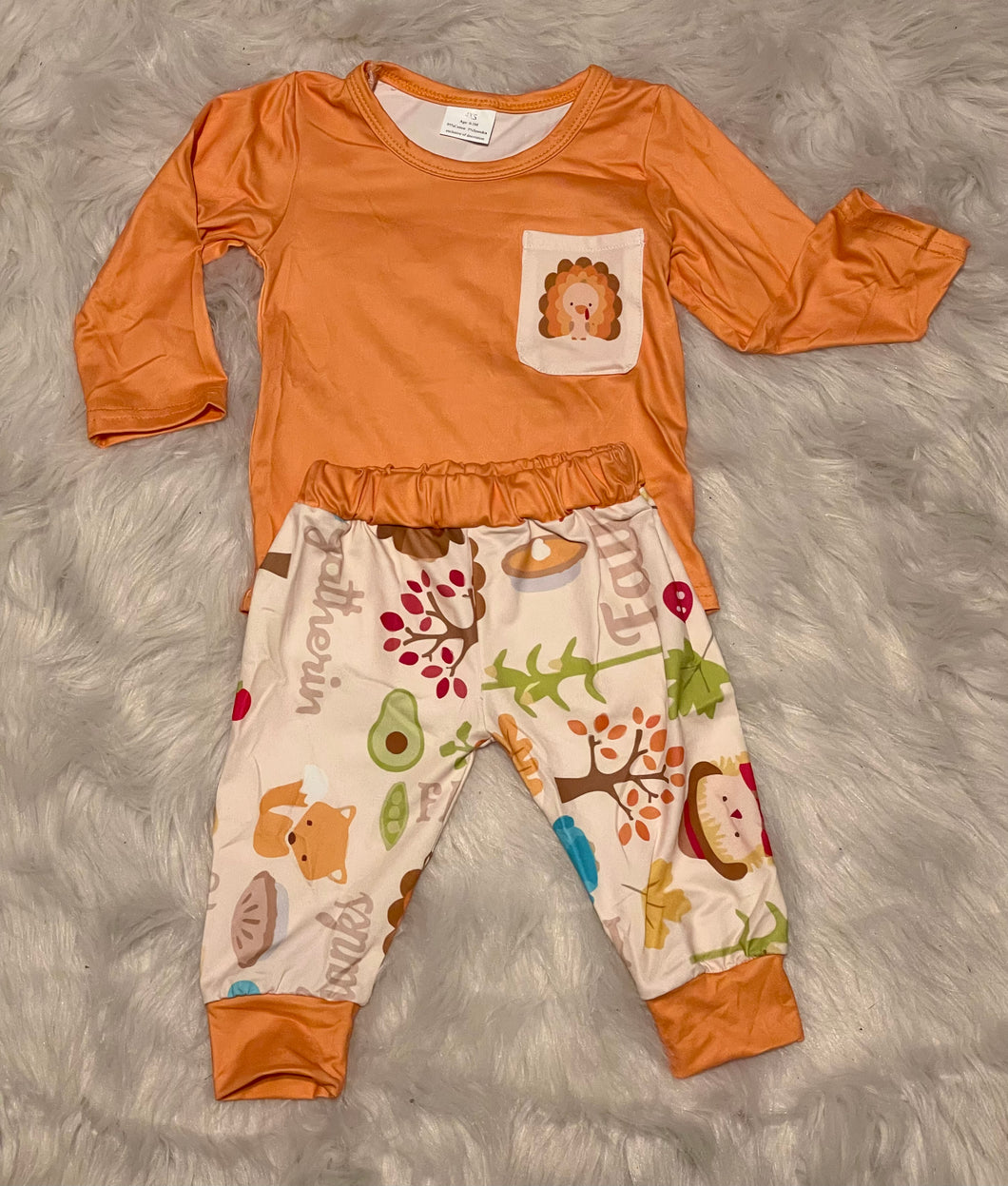 Boys Fall/Thanksgiving 2pc Set